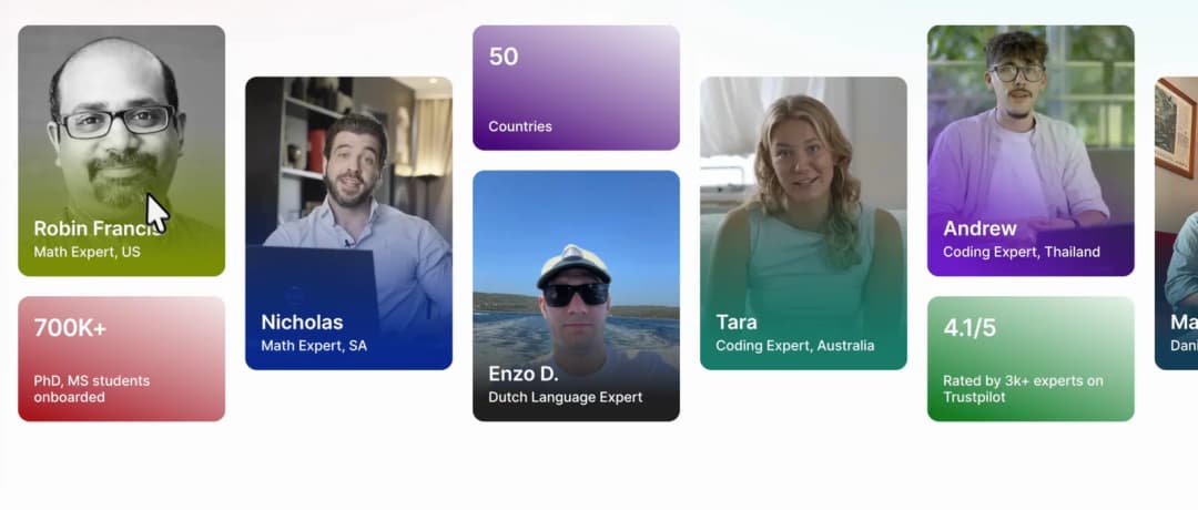 Outlier contributor profiles: math, coding and language experts from different countries
